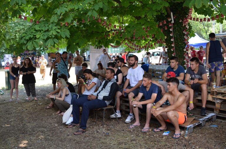 Музиката ги развесели, граѓанските организации ги активираа посетителите на Д Фестивал